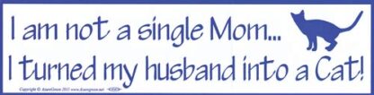 Bumper sticker:  I Am Not a Single Mum