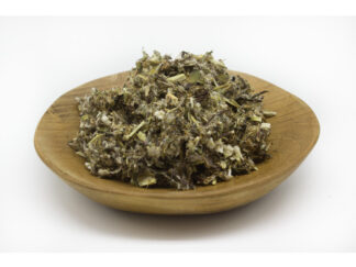 Mugwort