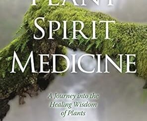 Plant Spirit Medicine revised