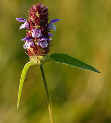 Self heal