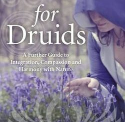 Zen for Druids