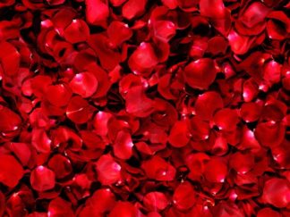 Rose petals