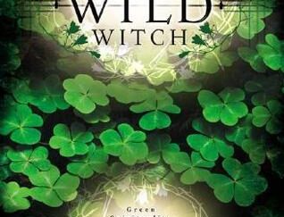 Craft of the Wild Witch
