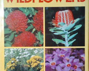 Australian Wildflowers