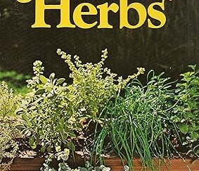 How to Grow Herbs